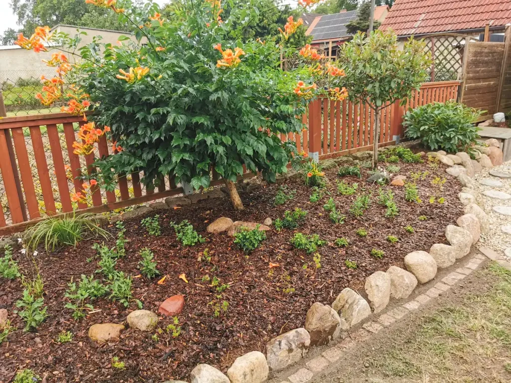 rundum Galabau GmbH – Rindenmulch im Beet für pflegeleichte Gartengestaltung