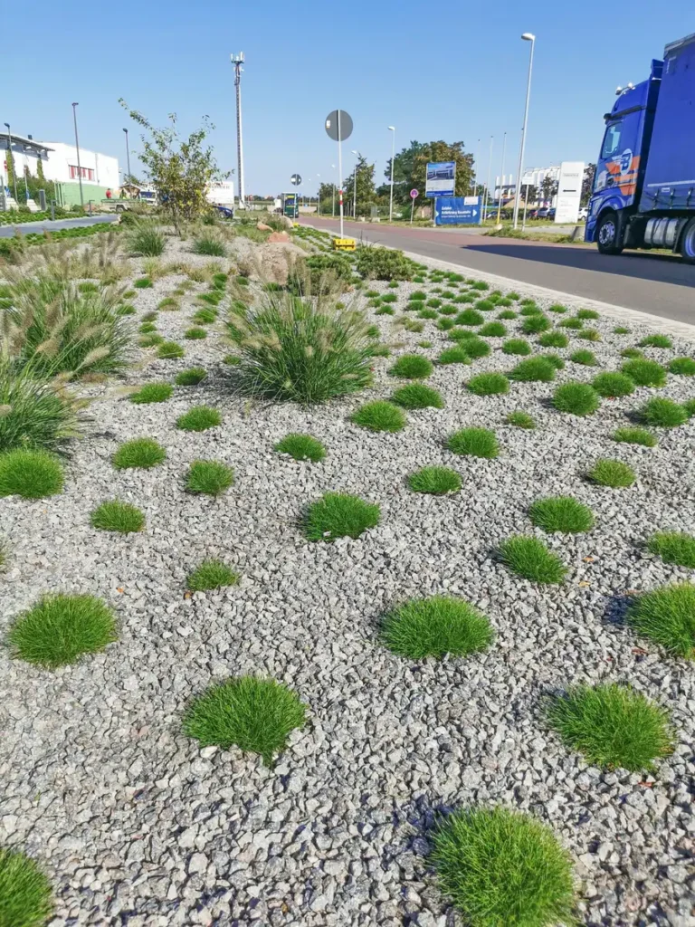 rundum Galabau GmbH – Pflegeleichtes Steinbeet mit harmonischer Kombination aus Naturstein und ausgewählter Bepflanzung