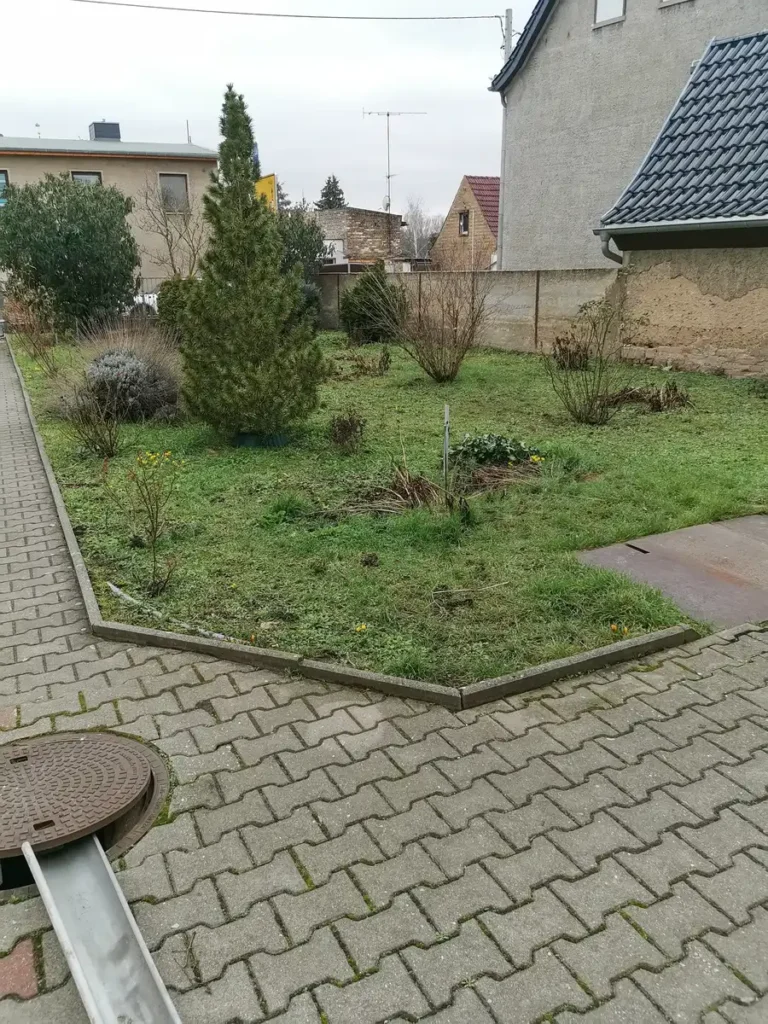 rundum Galabau GmbH – Ansicht des Gartens vor der Neugestaltung