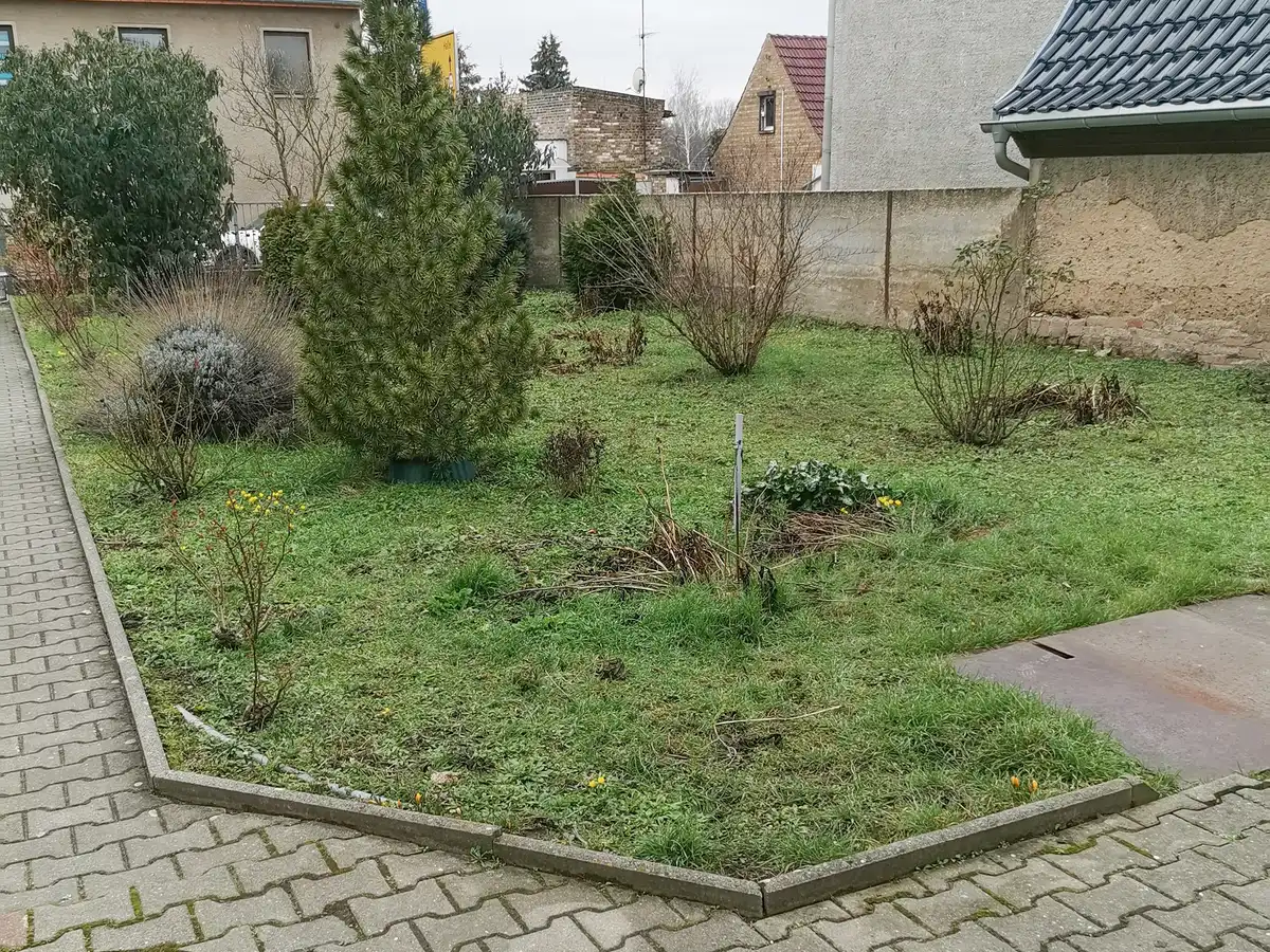 rundum Galabau GmbH – Blick auf den Garten vor der Neugestaltung