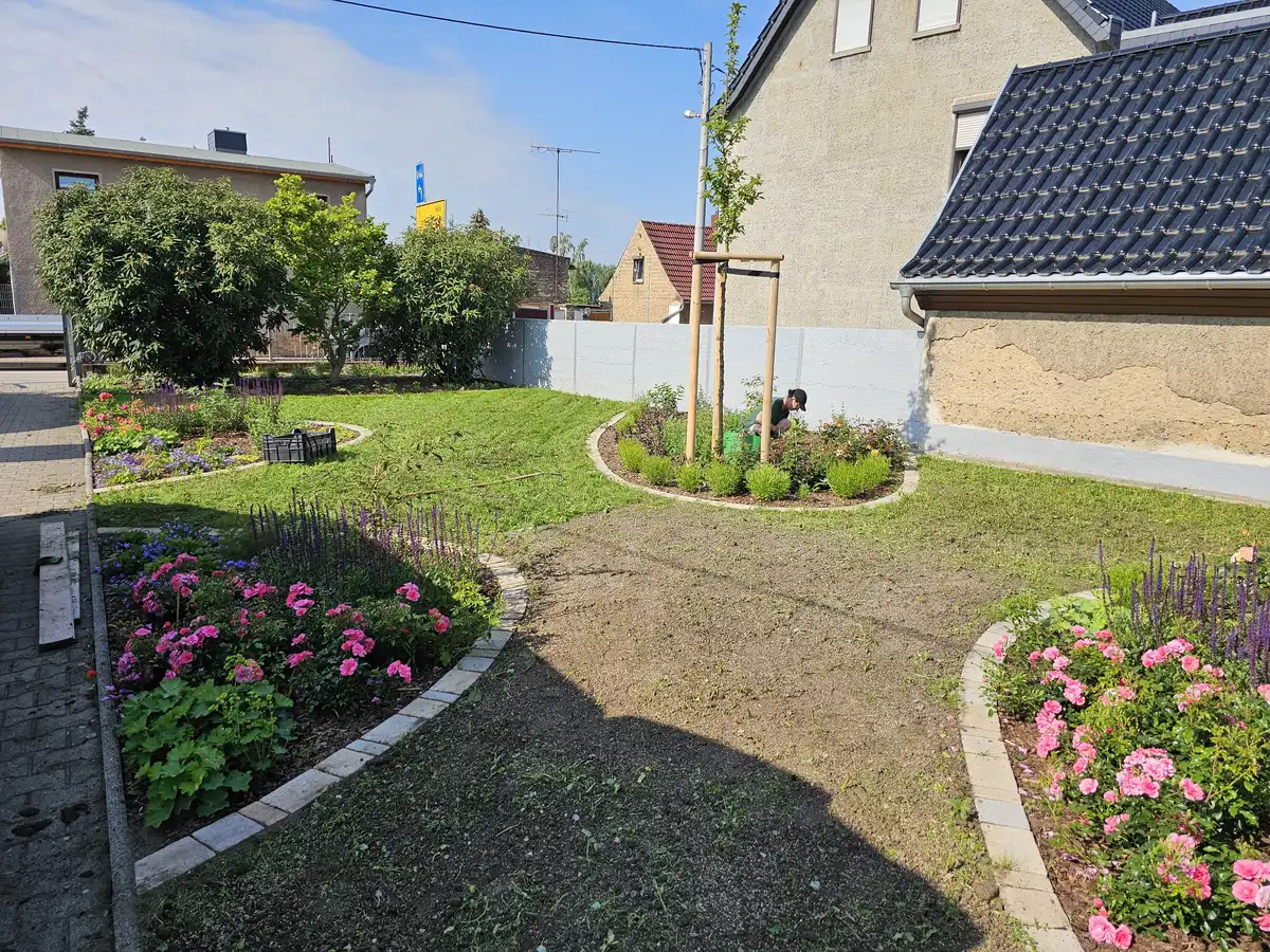 rundum Galabau GmbH – Pflanzungen durch einen Gärtner mit Blumen, Sträuchern und Stauden