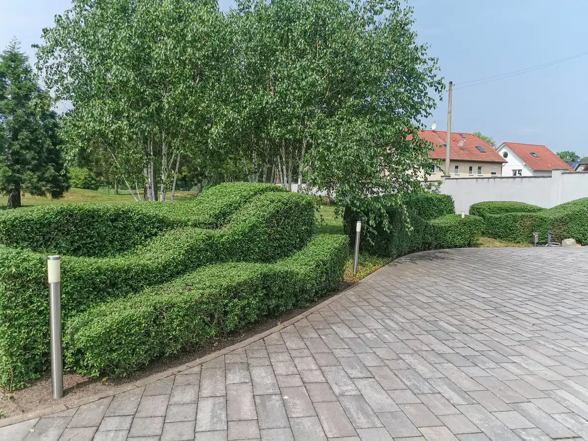 rundum Galabau GmbH – geschnittene Hecke in dekorativer Wellenform