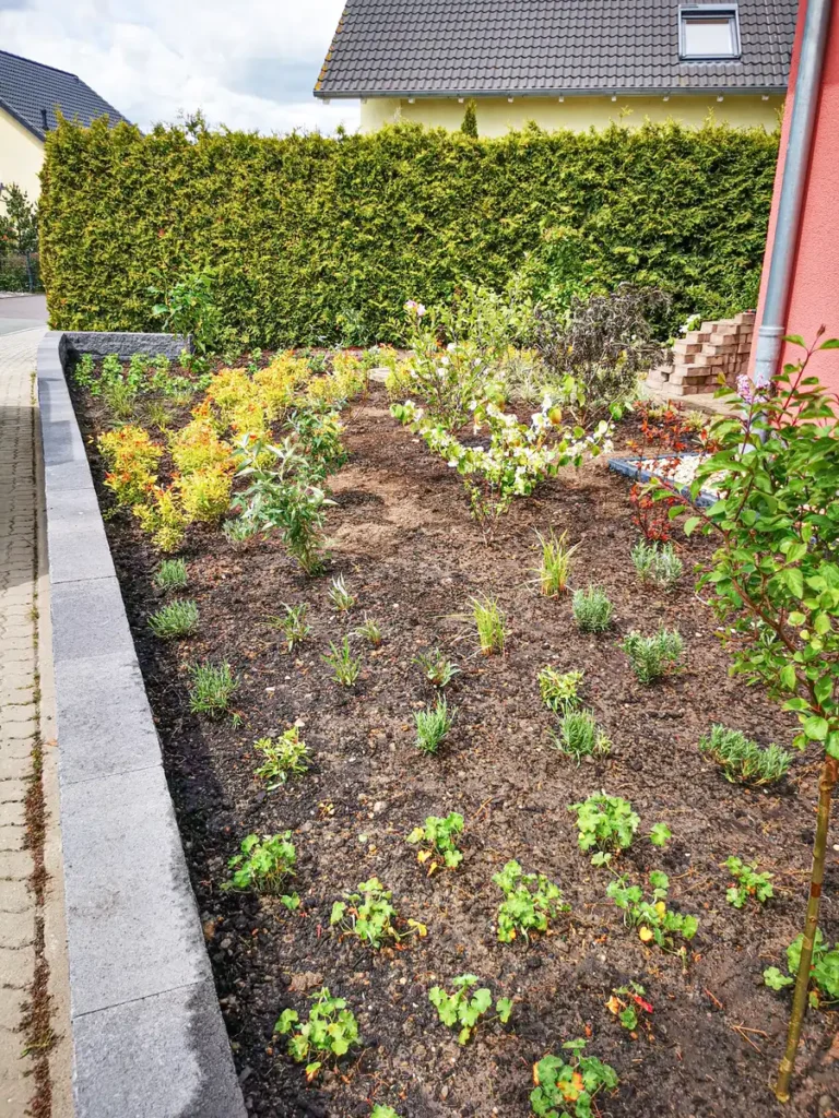 rundum Galabau GmbH – Gestaltung mit Stauden und Sträuchern für einen gepflegten Eingangsbereich