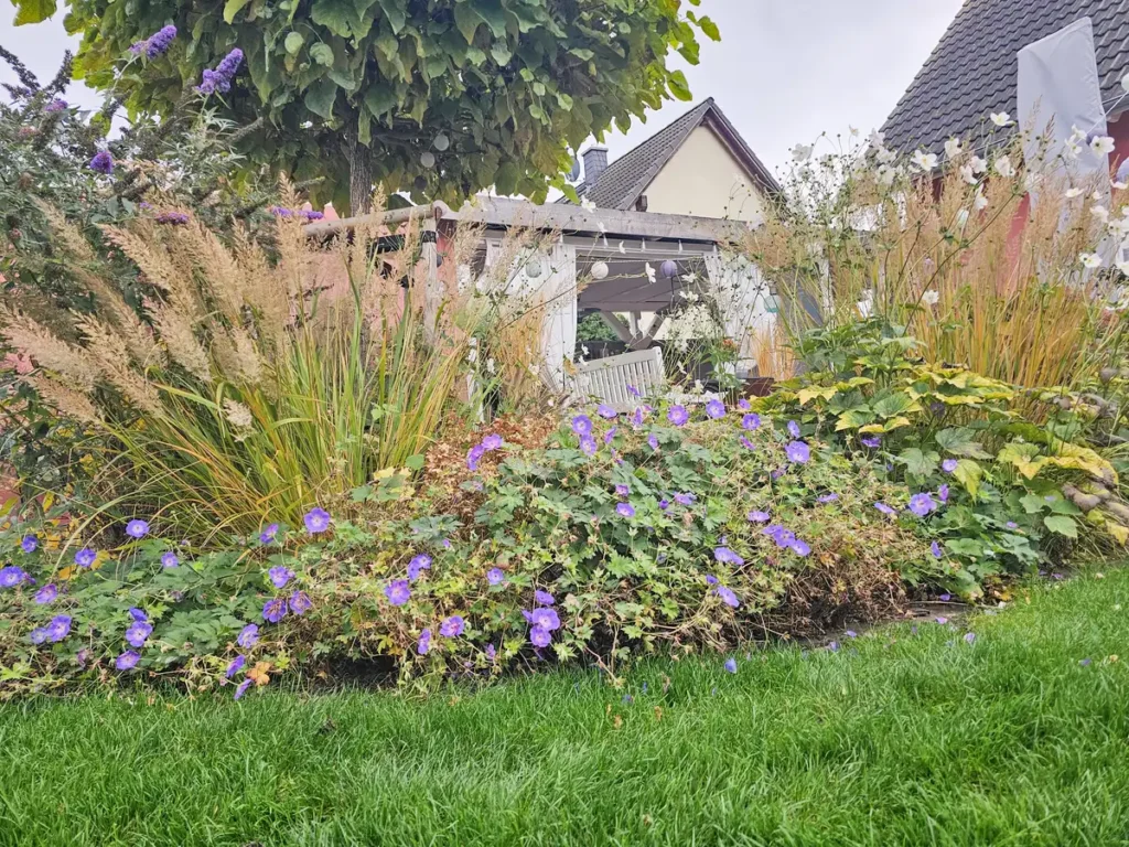 rundum Galabau GmbH – Professionelle Pflanzarbeiten im Garten