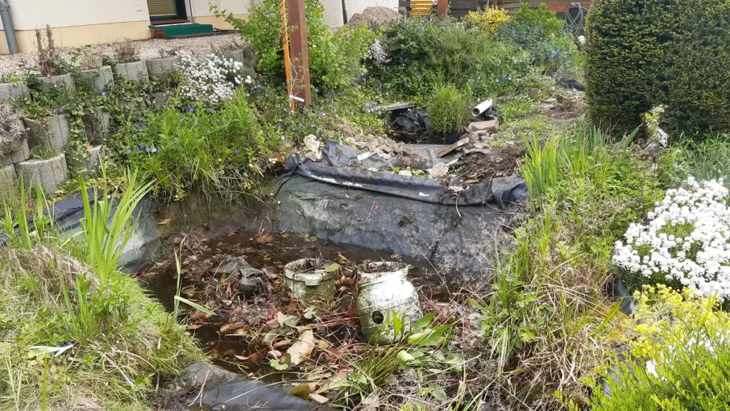 rundum Galabau GmbH – Blick auf den Gartenbereich vor der Neugestaltung